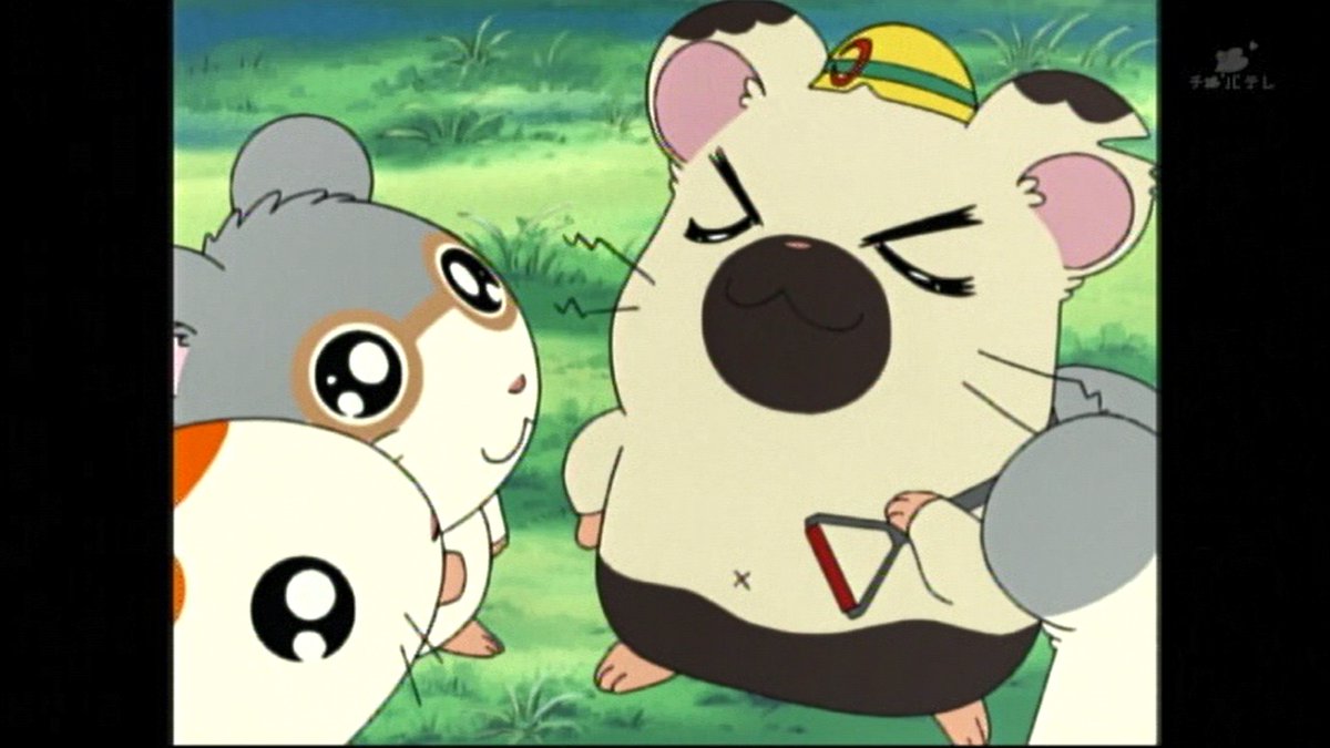嘲笑のひよこ すすき 本日9月21日は とっとこハム太郎 のタイショーくんの誕生日 おめでとう とっとこハム太郎 タイショーくん生誕祭 タイショーくん生誕祭 9月21日はタイショーくんの誕生日