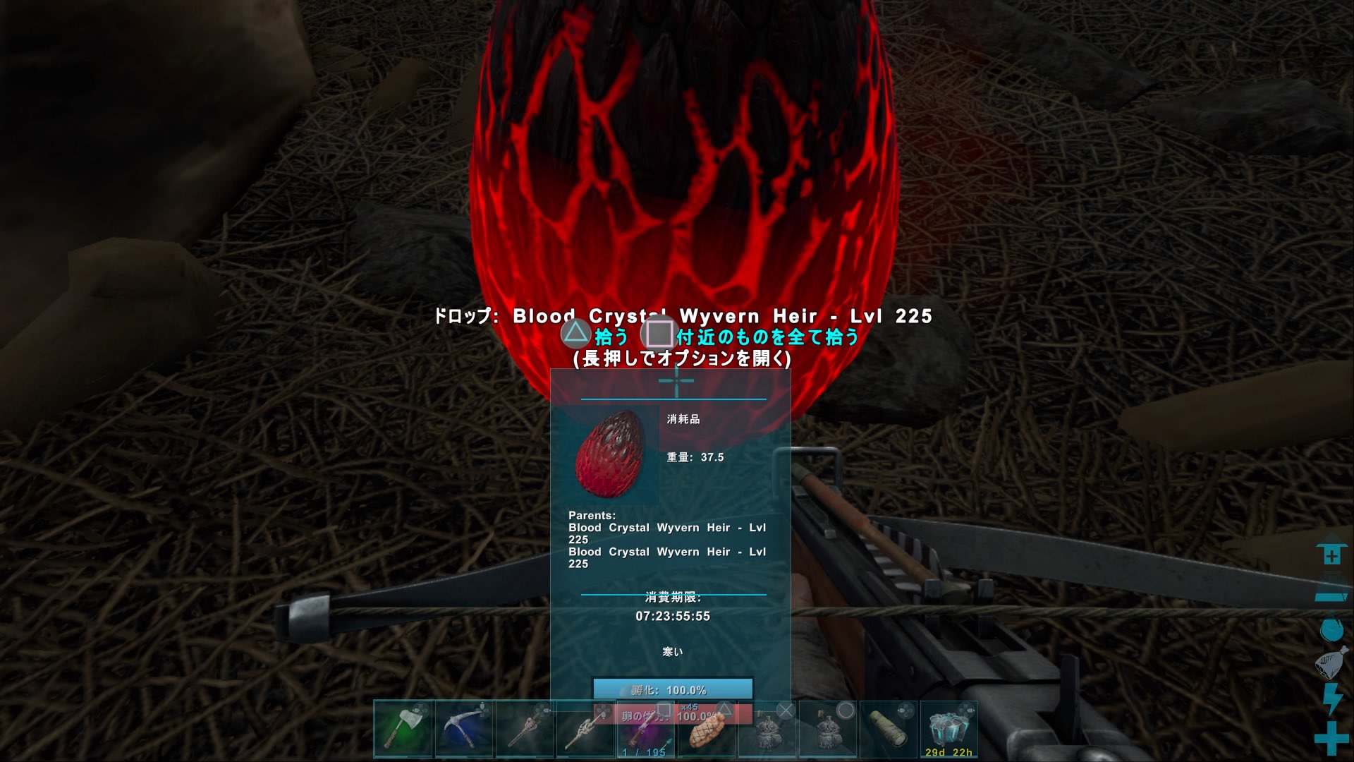 しゅがー 21日目 Arkクリスタルアイルズ 今日は最高lvのワイバーンの卵孵化させてみた ピンク色でいいかも 羊も3匹ブリ 子供が沢山だ ˊᵕˋ T Co Yfhcgannmx Twitter しゅがー 21日目 Arkクリスタルアイルズ 今日は最高lvのワイバーンの卵孵化させてみた ピンク色でいいかも 羊も3匹ブリ 子供が沢山だ ˊᵕˋ T Co Yfhcgannmx Twitter