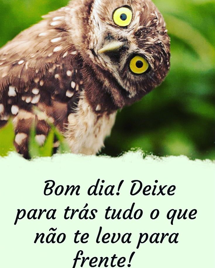Regina almeida (@Reginaalmeida15) / Twitter Regina almeida (@Reginaalmeida15) / Twitter