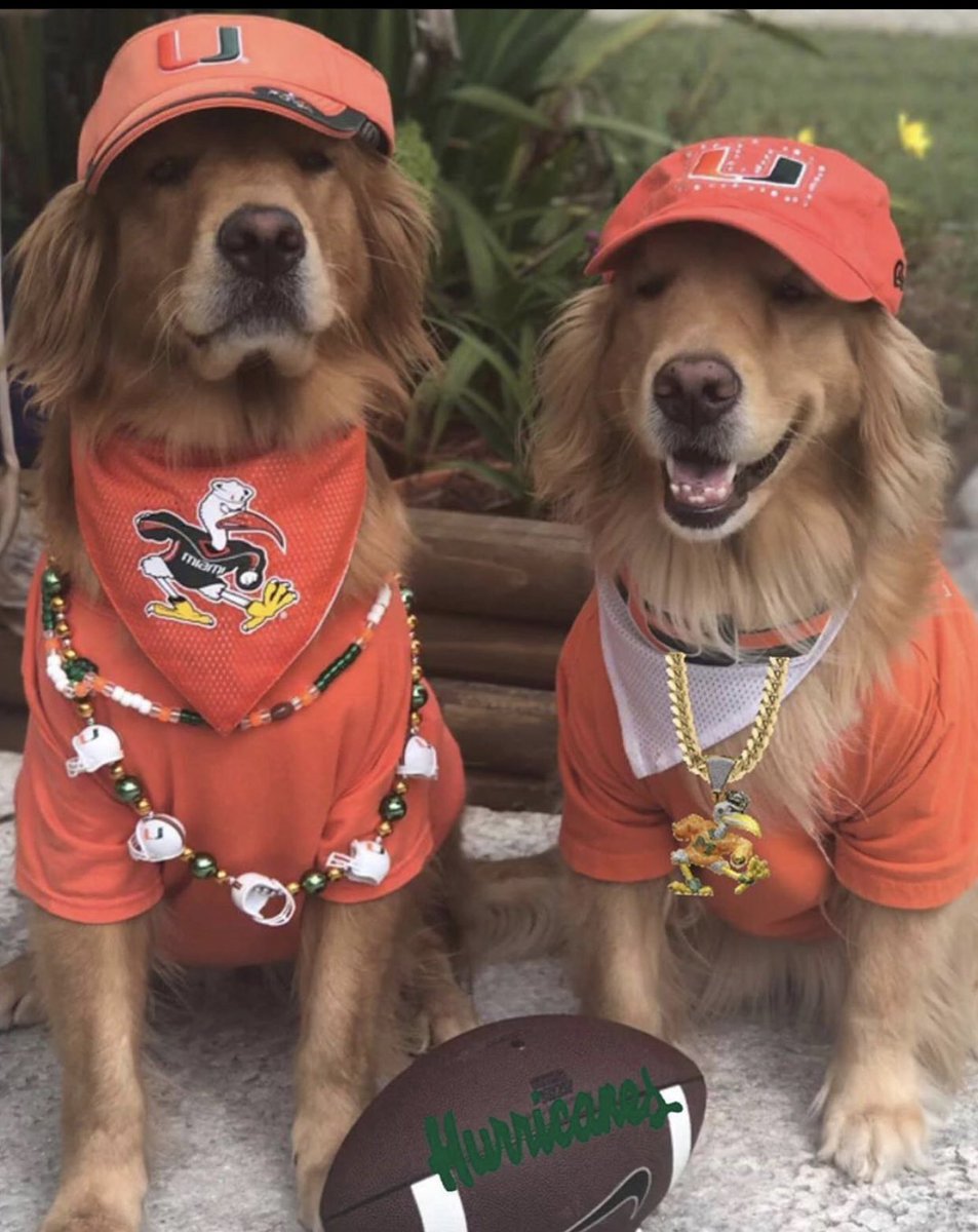 Renee_M_RN's tweet photo. Goooo C-A-N-E-S!!!!! #BeatLouisville @CollegeGameDay @CanesFootball @UM_Sebastian @MiamiHurricanes #GoCanes @KirkHerbstreit @Coach_MannyDiaz https://t.co/1bsRPccwHD