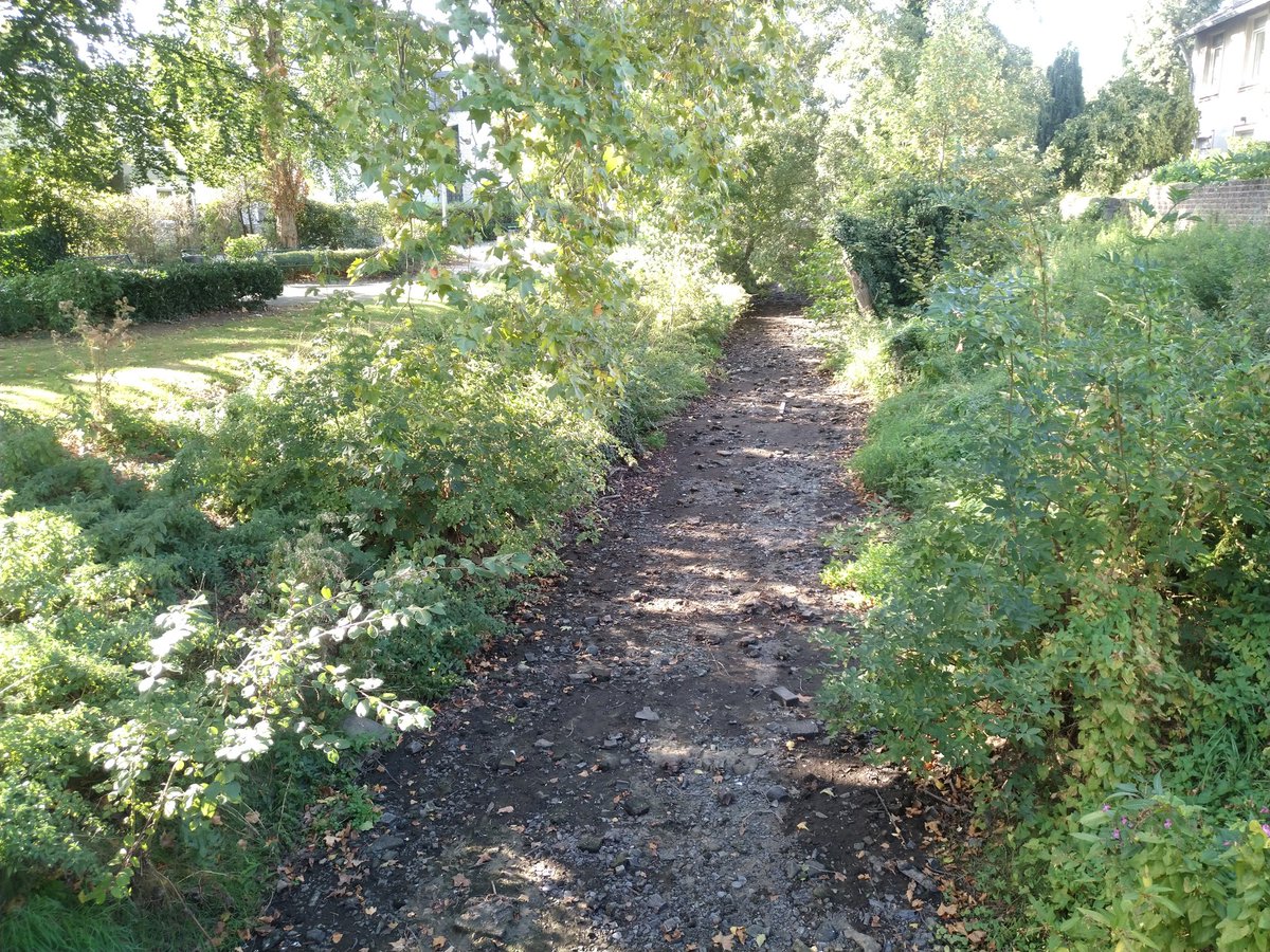 fotoaufnahme's tweet image. Der #Rotbach in #Dinslaken ist wieder leer. #Dürre