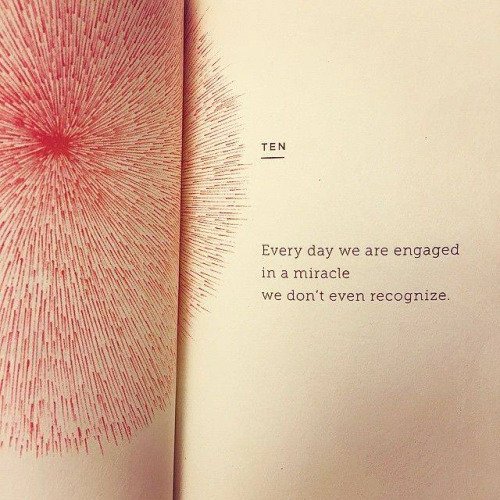 illuminatibot tweet media