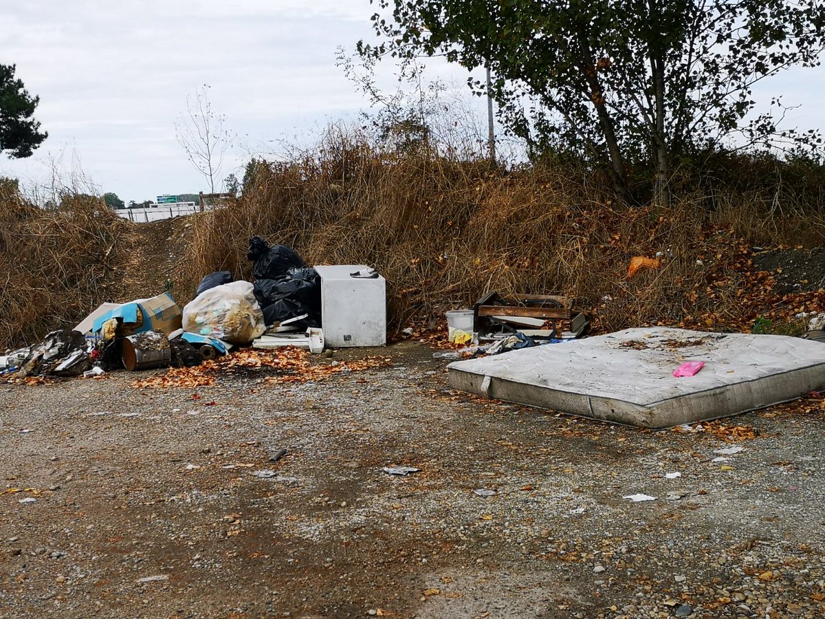 Du pain sur la planche pour nettoyer les abords du lac de #Bordeaux ! <a href="/HazouardMathieu/">Mathieu Hazouard</a>
<a href="/PierreHurmic/">Pierre HURMIC</a>
#WorldCleanupDay