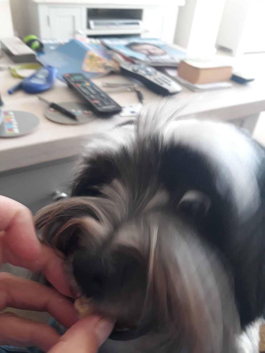 Snossidge roll🤔 I don't mind if i do 😋😋😋