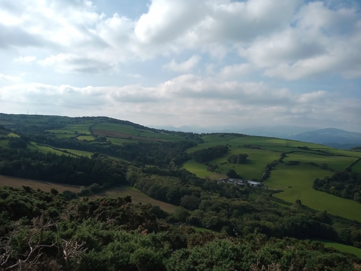 Golygfa bore ma!

The view on my walk this morning.

#Cymru #Wales #Mochdre #Llandudno #BaeColwyn