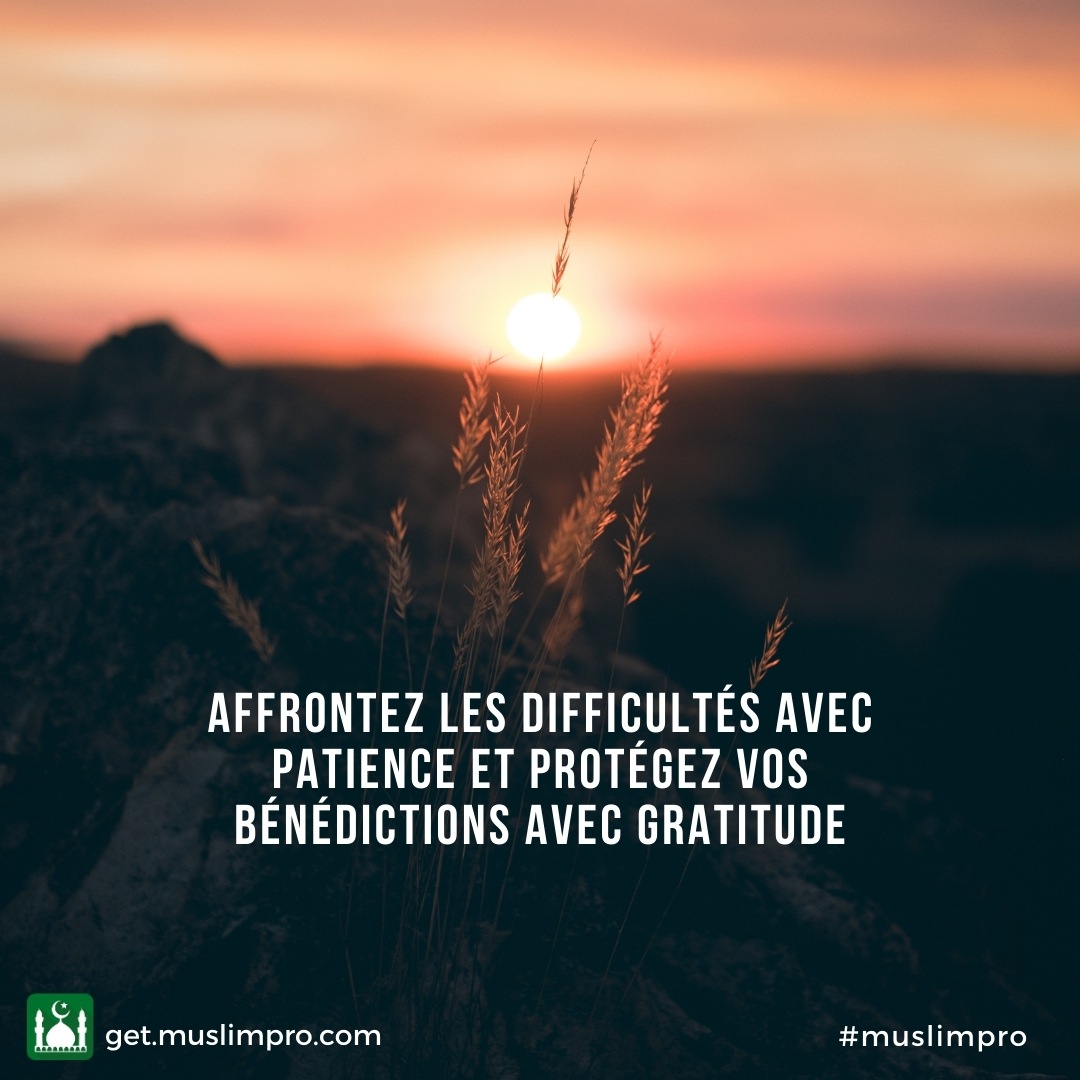 Muslim Pro App France Citation Du Jour Muslimpro Qotd T Co Lodo8ts1s7 Twitter Muslim Pro App France Citation Du Jour Muslimpro Qotd T Co Lodo8ts1s7 Twitter