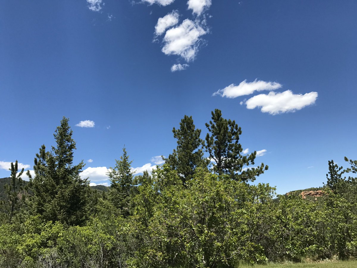 Elegir sabiamente los pensamientos que conducen nuestra forma de actuar y nuestra manera de sentir, nos conduce a la paz interior, y facilita la relación con las personas que nos rodean.