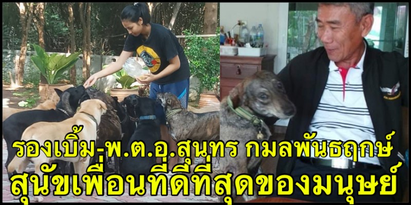 coffeeandpuppy's tweet image. 13 น้องหมาพันธุ์บิ๊ก สัตว์เลี้ยงแสนรักตำรวจวัยเกษียณ cfpp.co/UZN8M0Rk #CoffeePuppy #CookingForDogs #DogChef #PetChef #อาหารสุนัข #อาหารน้องหมา