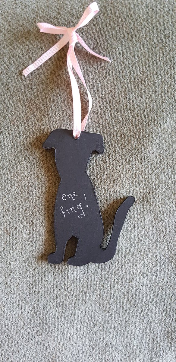 Doomanoid79's tweet photo. @MegsNewshound #MiniMeg one fing by @PippaPop has arrived! Mum loves it. https://t.co/LcRMjCI9u9