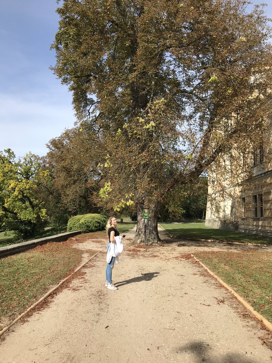 PetrKikac's tweet photo. Went for a trip to a nearby town Lysa nad Labem #czech #travel #lysanadlabem https://t.co/09nCMEsuPV