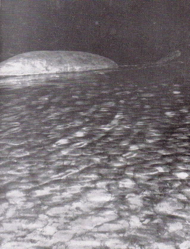 Time for another  #TetZoocryptomegathread, again a  #LochNessMonster one, again on one of my favourite  #Nessie photos: the Peter O’Connor photo of May 27th, 1960. Follow this thread as we take a VERY DETAILED look at the story behind this case…