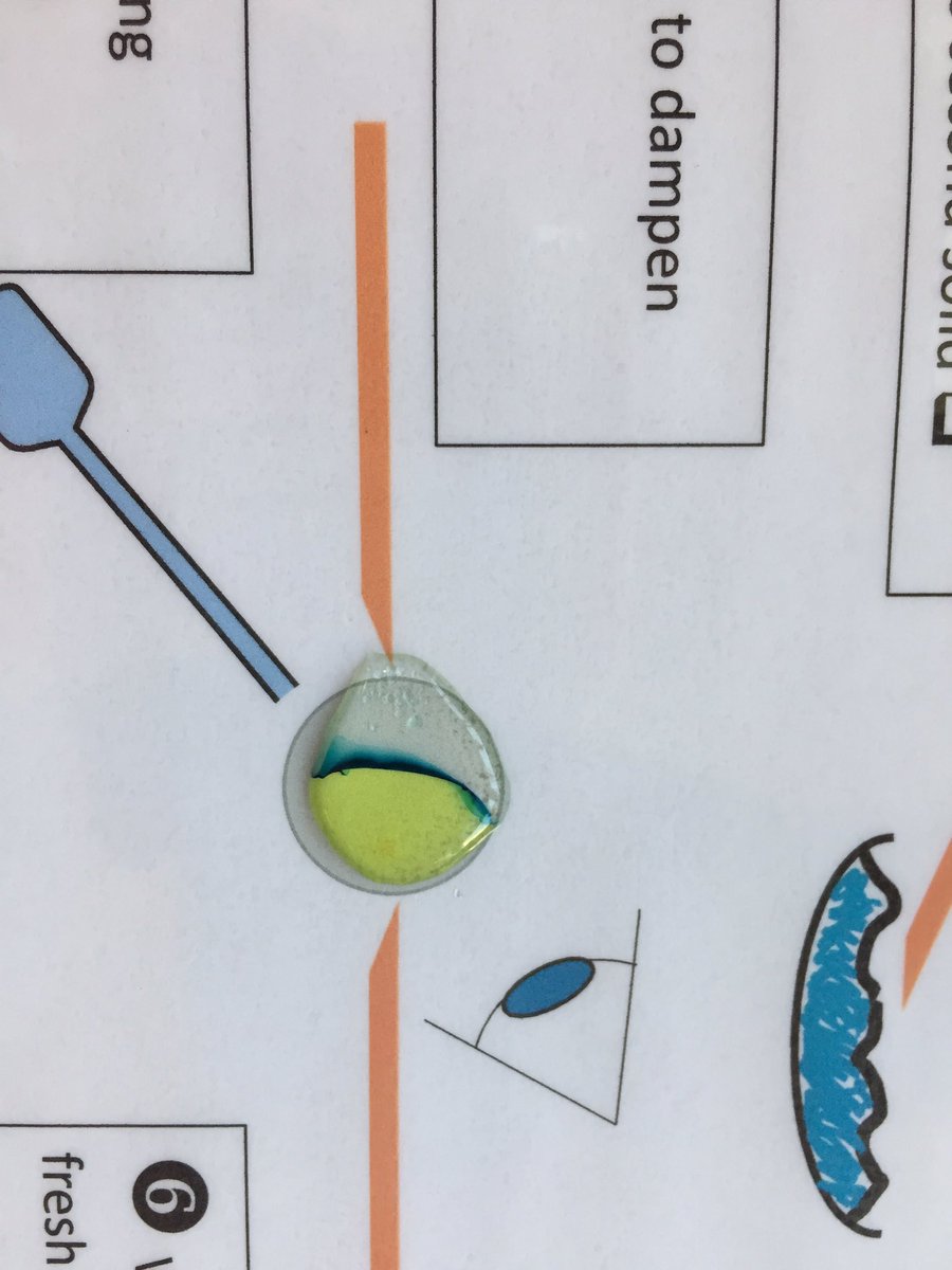 oundlechem's tweet image. Had a lovely morning with my Yr10 making puddle precipitation using integrated practical instructions v1. Results from some were impressive. @UncleBo80053383 @dave2004b