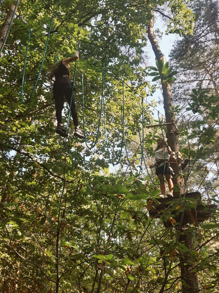 Une journée dans les arbres pour des raccrocheurs bien accrochés!