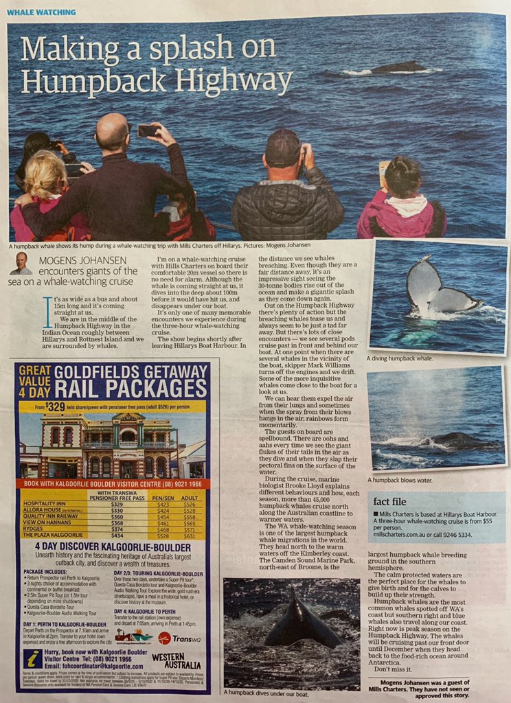 MillsCharters's tweet image. Making a Splash on the Humpback Highway! Have you got today’s newspaper yet? If you have you may have seen our article within the travel section! It’s a good read about what goes on while on one of our tours and how much Mogen from the West enjoyed his day out!