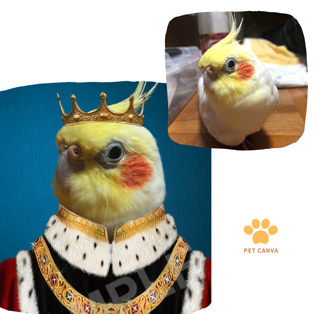 pet_canva's tweet photo. 💫僕はKINGになったよ🦜✨

🐾 🐾 🐾 🐾 🐾 🐾

#鳥 #鳥好きさんと繋がりたい #肖像画 #絵画 #インテリア #新しい生活様式 #家で過ごそう #誕生日プレゼント #ウチの子 #ハンドメイド #オーダーメイド #ペットイラスト #油絵 #動物肖像画  #ウチの子肖像画 #ペットキャンバ #ペットカンバ #petcanva https://t.co/Xo2iL09KZc