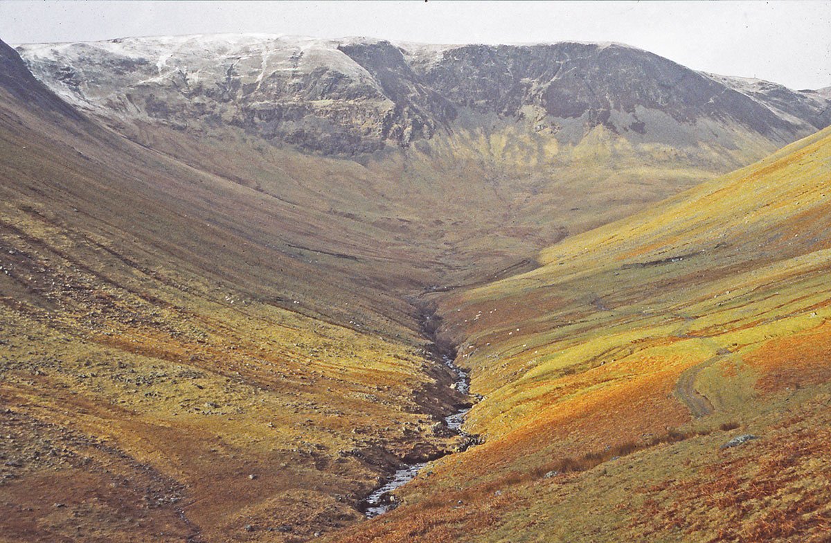 Now, here is Carrifran, a valley in the Scottish borders, as it was 30 years ago and as it is now, after restoration work by  @BordersForest. This could and should be happening everywhere.