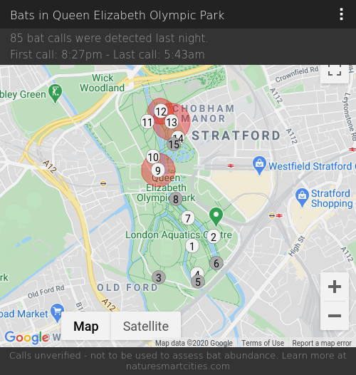 85 bat calls were detected last night, 18-09-2020.