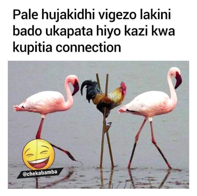 Hukipewa chongo huwe na sifa za kufanya hiyo kazi