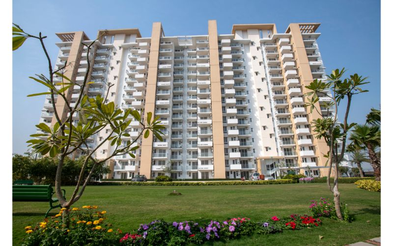 AlamRealtors's tweet photo. #Emaar #ImperialGardens – Ready to move-in #3BHK_Utility Flats in Sec 102 Gurgaon
Your home at Imperial Gardens is surrounded by #theme_based_gardens, each with a unique character.
•Ready to move-in 3BHK+Utility+Lounge @ #INR 1.07 Cr Onwards

#Call: +91 9810327855 | 8574611838 https://t.co/vxlDFwIrMP