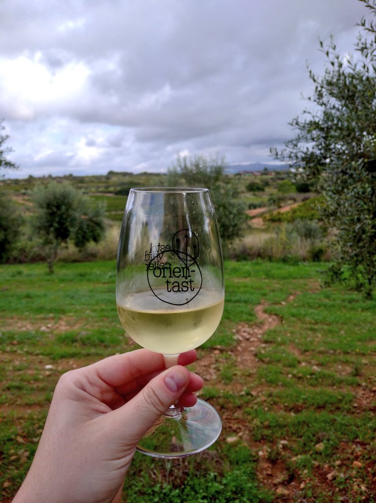 Aquí celebrant els 30, nou dies després, fent una ruta de vins gràcies a <a href="/avinturat/">Avinturat</a> 🍷💖