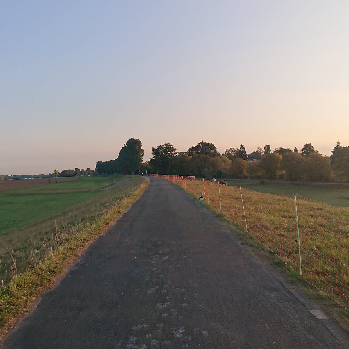 radmomente's tweet photo. Die @letour_de lädt heute zum #Einzelzeitfahren, hab dann mal die Krefeldrunde zum Bäcker genommen, ist ja wie Zeitfahren, nur die Zeitfahrbeine hatte ich zu Hause vergessen 🤷‍♂️🤣 

#cycling #sunrise #brötchenrunde #krefeld #feelslikeautumn #deichen #nolegsbutfun #fullforcevoraus https://t.co/AUdkUQvuRs