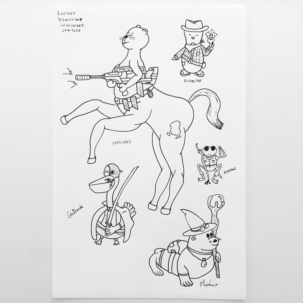 Pingouin tweet media