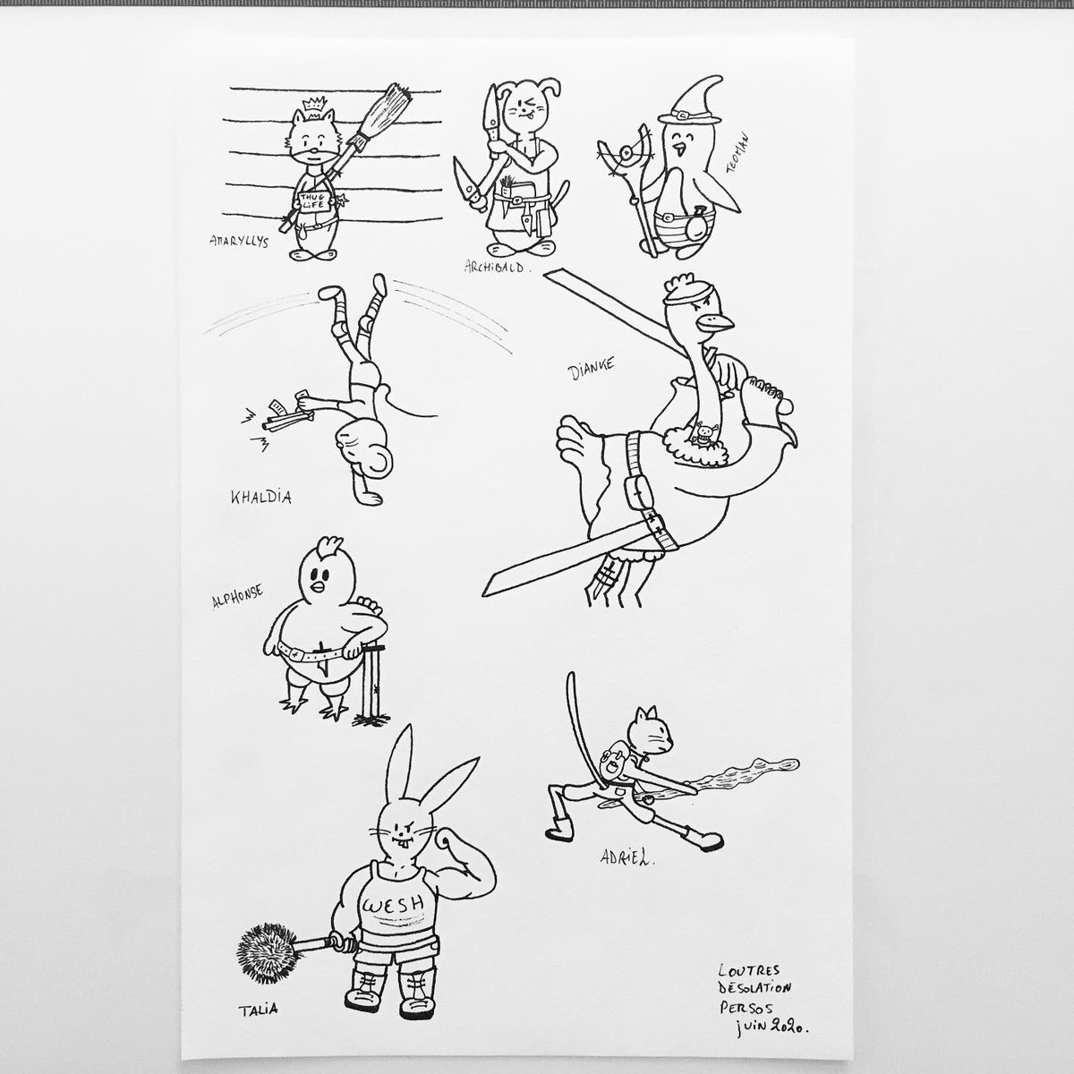 Pingouin tweet media