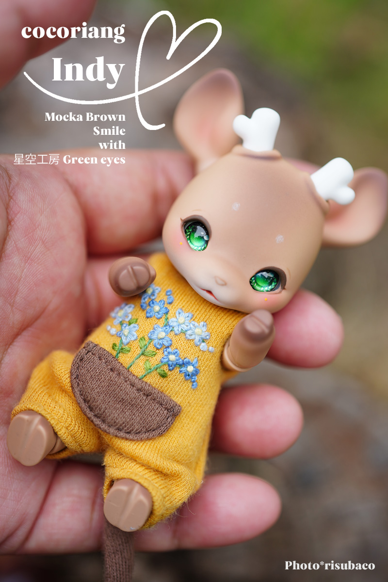 cocoriang indy mocka Brown 期間限定バージョン dnsc.edu.ph