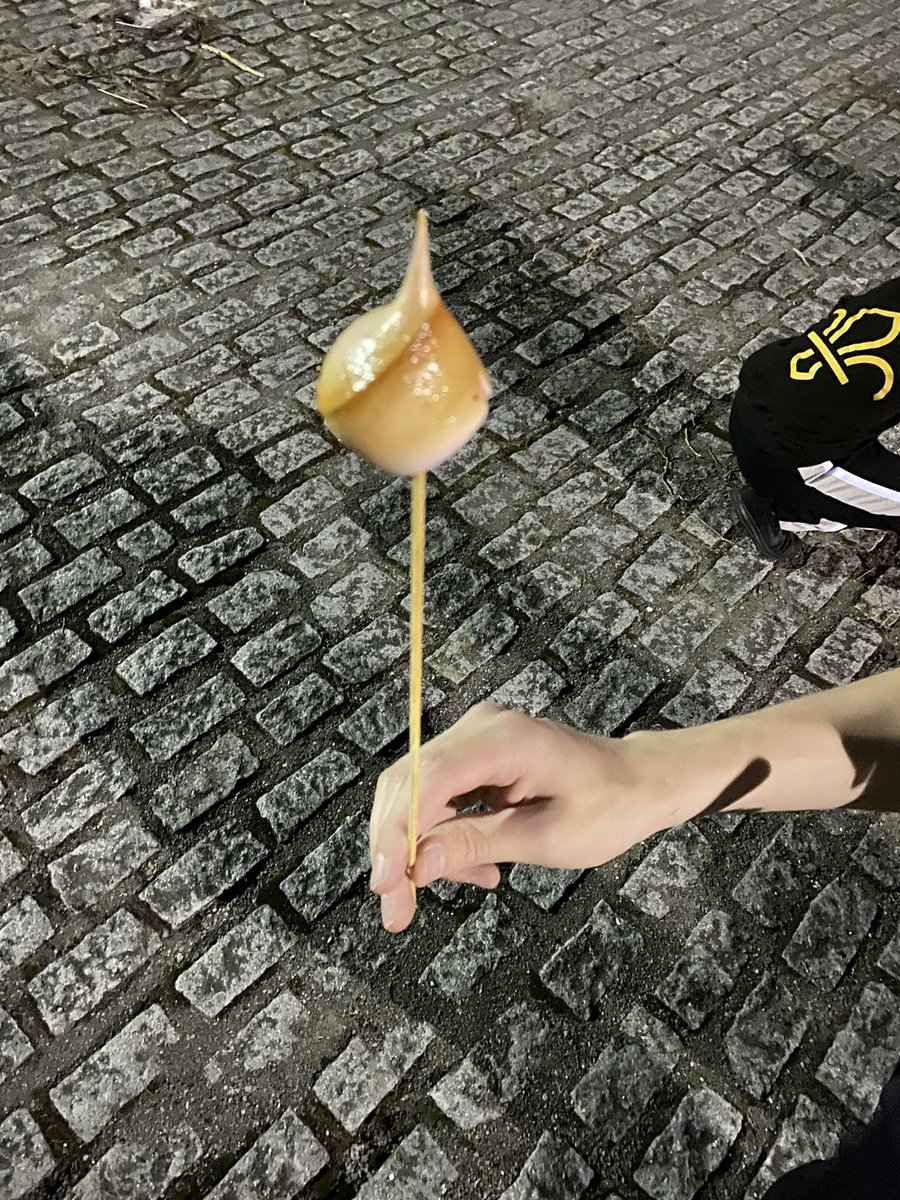 7th Stirling Contingent - Haarlem Jamborette’23 tweet media