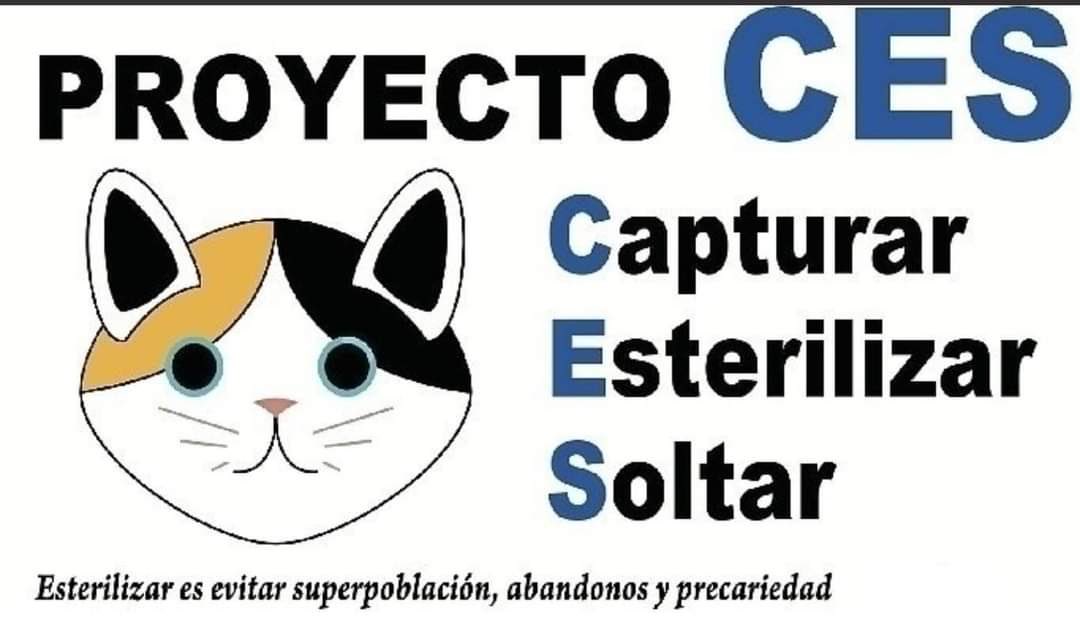 NavaLiberAnimal's tweet photo. Nos hemos vuelto a reunir con el alcalde de Huarte para impulsar el método CES para las colonias felinas de esta localidad. 
El pasado año entró en vigor la nueva Ley Foral de protección animal en Navarra...
#proyectoces 
#bienestaranimal https://t.co/eUTi22ecPt