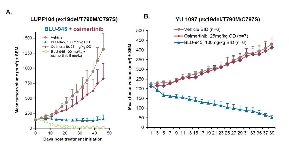 Welcome to 4th Gen EGFR inhibitors!
BLU-945 hits triple mutant EGFR+/T790M/C797S, alone and in combo (fig B and A, adapted from 1296P). 
Triple mut are seen in EGFRmut NSCLC treated with 1st/2nd Gen followed by osimertinib (usually T790M is lost after osi 1st line). #ESMO20 #LCSM