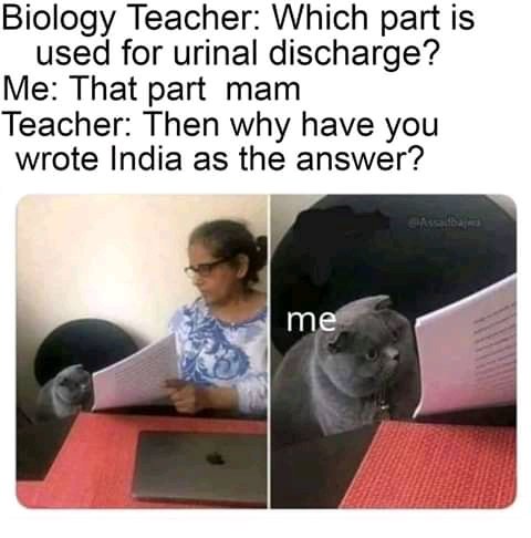 Shani's tweets ♥️ ®(╬☉д⊙)⊰⊹ฺ tweet media