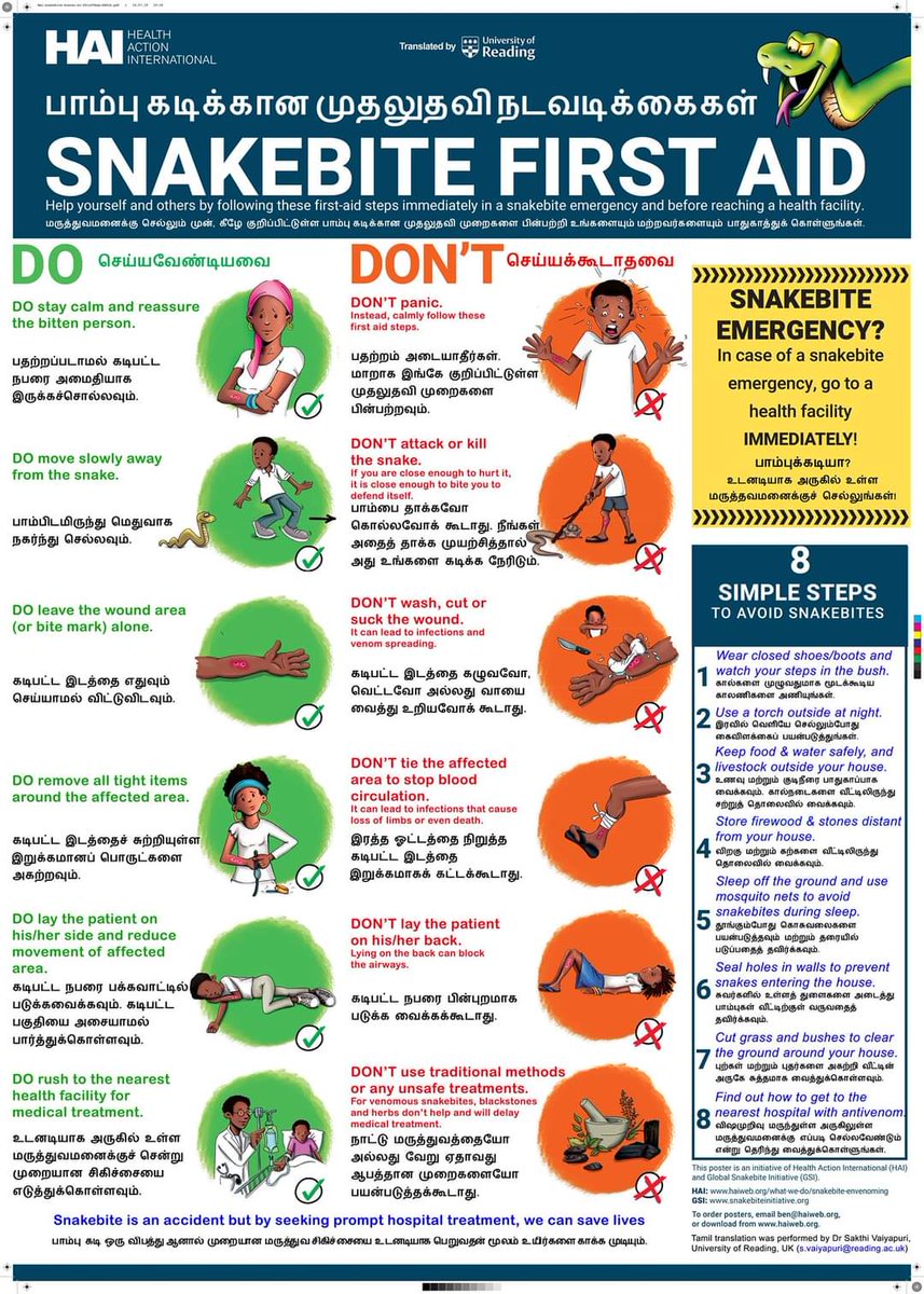 Snake Bite First Aid Poster