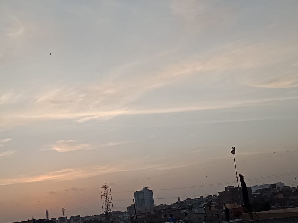 Shani's tweets ♥️ ®(╬☉д⊙)⊰⊹ฺ tweet media