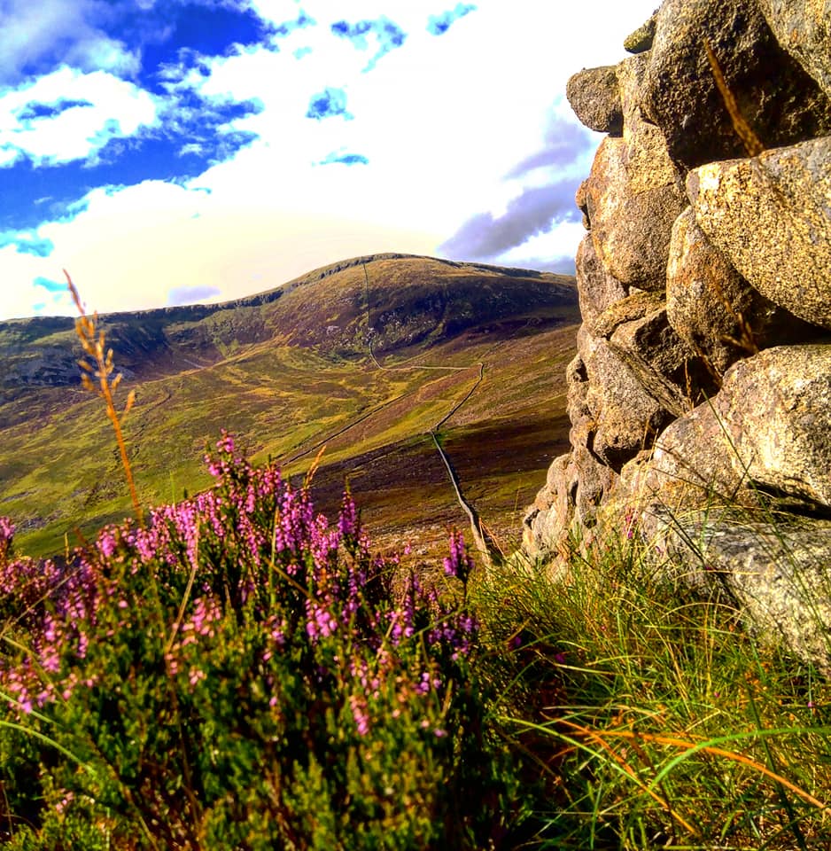 Beautiful Mourne Mountains, Co  #Down, N  #Ireland. Mournes are made up of 12 mountains with 15 peaks & include the famous Mourne wall (keeps sheep & cattle out of reservoir)! Area of Outstanding Natural Beauty. Partly  @NationalTrustNI. ©Daniel Mcevoy (with lovely cat!)  #caturday