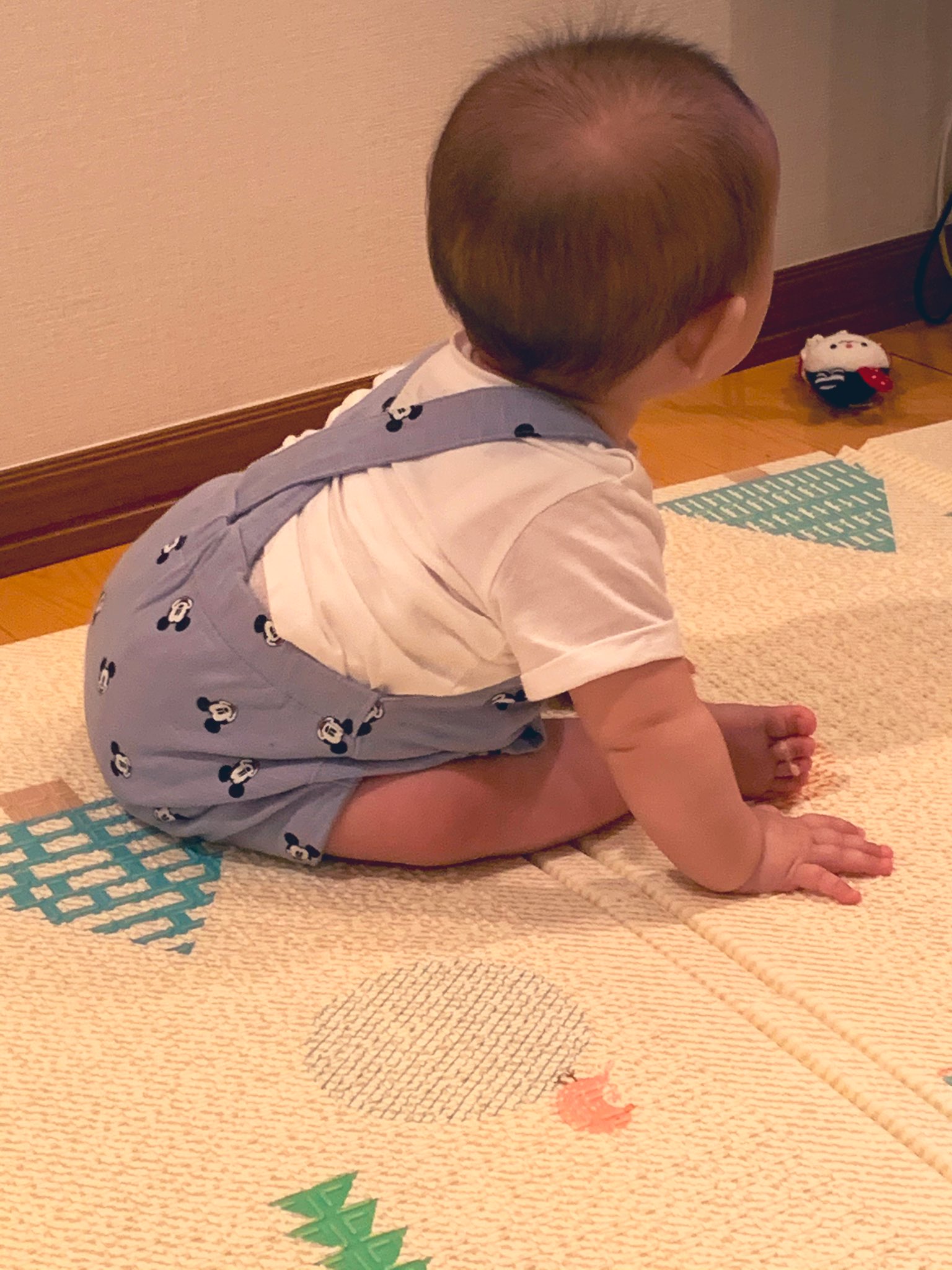 Twitter এ 久世理瀬 くぜりせ Haarusaame ほんとだー お座り出来るようになってる 実はうちもね あのつりベビーお得意のクラウチングスタート 菜々緒ポーズ 的なのやるようになってる 進めはしないけど 笑 赤ちゃんて影響し合うんだね ট ইট র