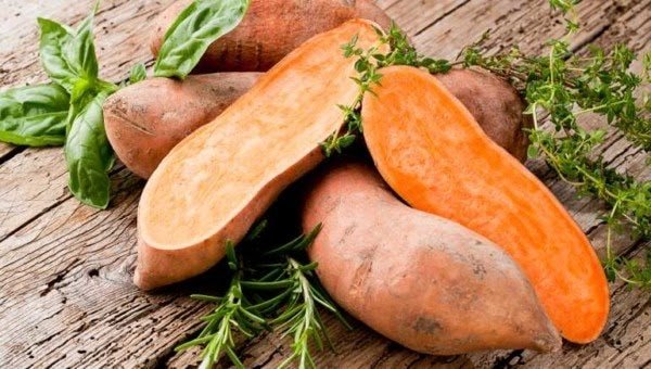 LunaGross5's tweet photo. Diabetics, take note! You can nosh on sweet potatoes to control your blood sugar
#Healthysugar #Blood
#keto #food #chocolate #corn #diabetes #diet #happylife #sugarmaintain #holelifehappy https://t.co/SwnLqQhcYw