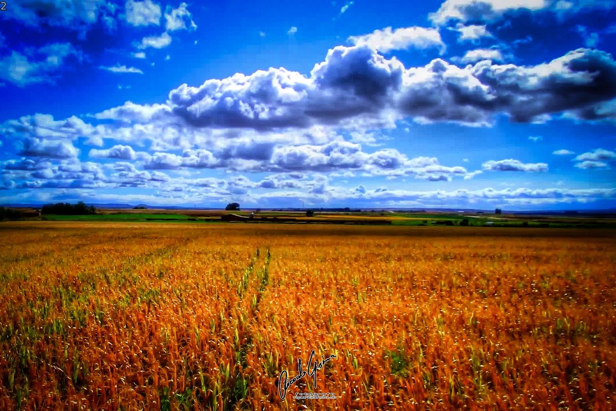 CR_Tito's tweet image. Sigo en las nubes.
bit.ly/LiveCamMoc

 #ricardogomez #rigomar #foscam #photographer #art #picture #photo #pic #capture #moment #photoshoot #landscape #clouds @tiempobrasero