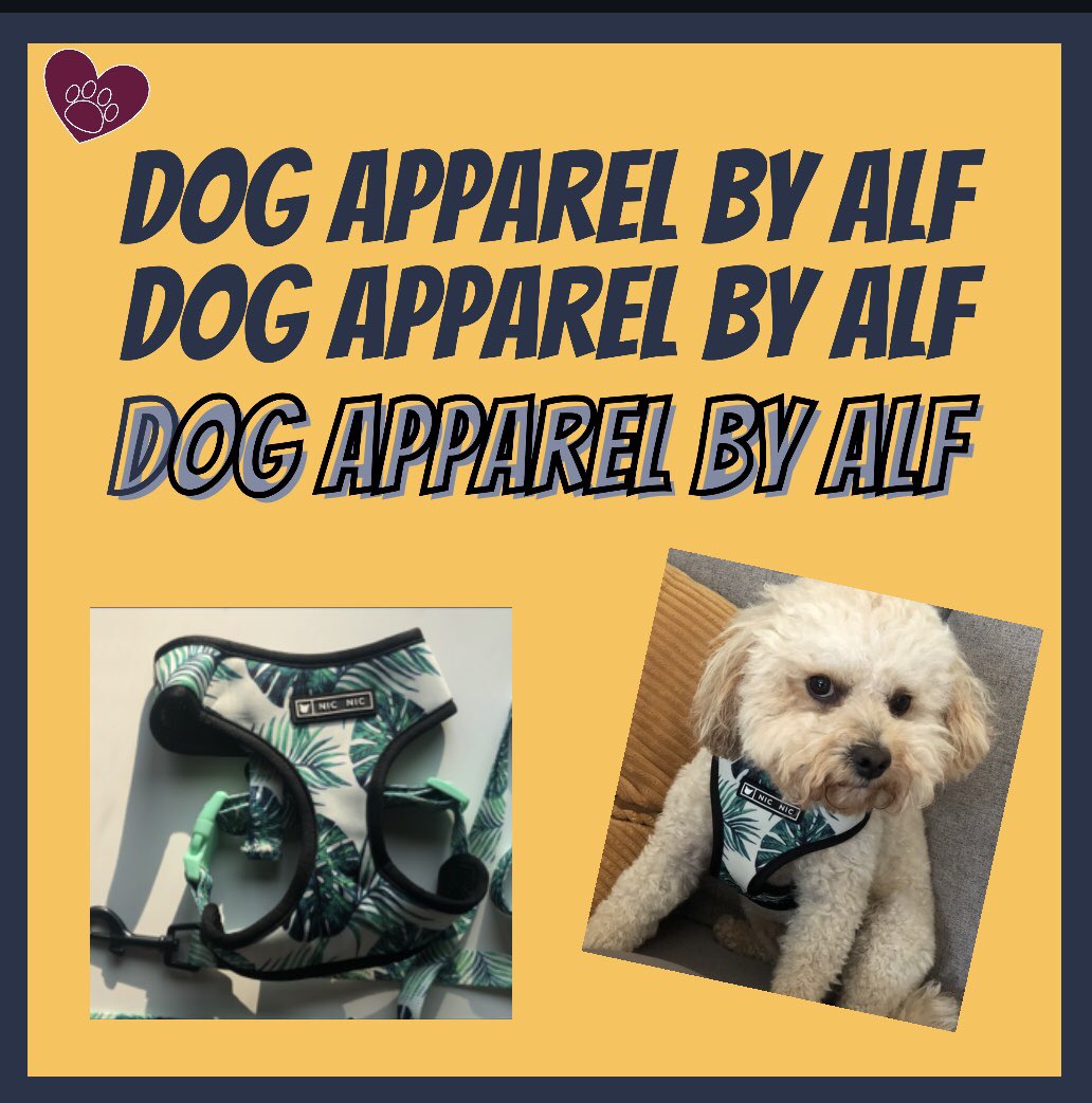 #UKGiftHour 
Dog harnesses just arrived and will be on our website soon! The presrnt present for your spoilt pooch!
dog-apparel-by-alf.square.site 

#uksmallbusiness #supportsmallbusiness #dogbusineed