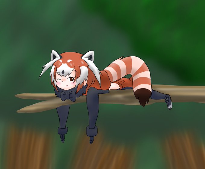 国際レッサーパンダデのtwitterイラスト検索結果