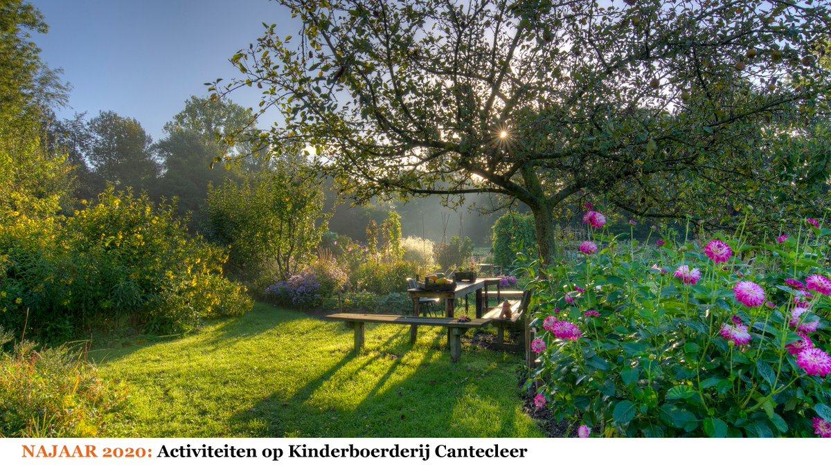 𝐃𝐞 𝐤𝐨𝐦𝐞𝐧𝐝𝐞 𝐦𝐚𝐚𝐧𝐝𝐞𝐧 𝐬𝐭𝐚𝐚𝐧 𝐛𝐢𝐣 𝐊𝐢𝐧𝐝𝐞𝐫𝐛𝐨𝐞𝐫𝐝𝐞𝐫𝐢𝐣 𝐂𝐚𝐧𝐭𝐞𝐜𝐥𝐞𝐞𝐫 𝐰𝐞𝐞𝐫 𝐛𝐨𝐥 𝐯𝐚𝐧 𝐝𝐞 𝐚𝐜𝐭𝐢𝐯𝐢𝐭𝐞𝐢𝐭𝐞𝐧.
Van 🐓Dierendag tot 🎅Kerst en natuurlijk onze 🙋jeugdclub activiteiten.
cantecleer.com/activiteiten/