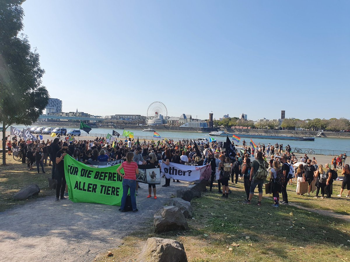 MarchKoeln's tweet image. Es geht los!!!
Treffpunkt Deutzer Werft.

#AnimalRightsmarch #toarm #animalrights #deutzerwerft #demokoeln #koeln