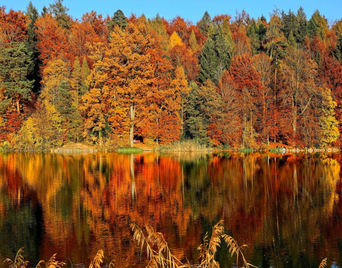 AAAHudsonValley's tweet photo. 🚗🍁🍂 🎃🦇 Seeking autumn adventure? Our AAA travel experts have chosen their favorite fall road trip destinations and built custom TripTiks with suggested routes and experiences. Check out some of our top ideas! https://t.co/9smoGzJQKm #FallRoadTrips https://t.co/xO70Zjp5S4