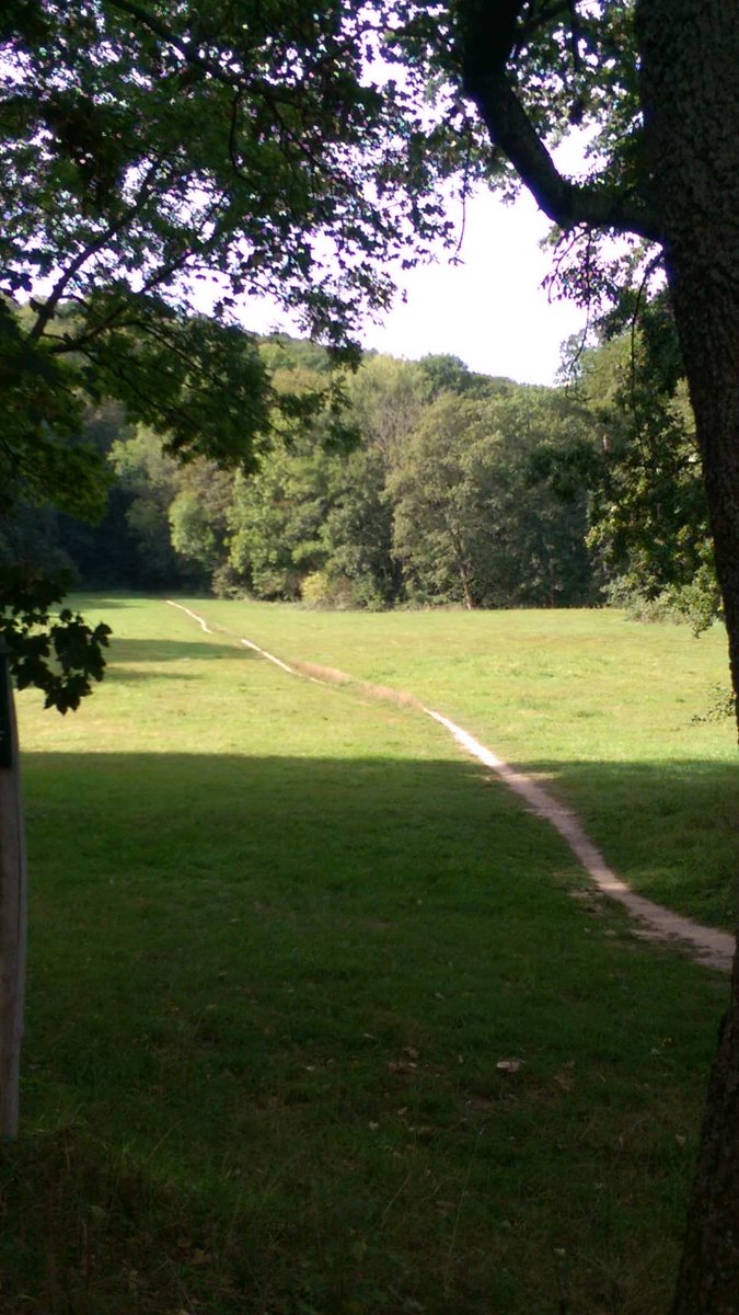 ezoderwitz's tweet photo. Großes Kind hat Training, da haben "kleines Kind" + ich spontan entschieden, wir begleiten sie zur Turnhalle Cotta und #radeln bis Trainingsende einfach mal ziel- und planlos durch die Gegend; schön wurde es #Elberadweg-#ZschonerGrund-#Podemus-#Mobschatz-#Briesnitz-#Omsewitz... https://t.co/KMCvDdaDoa