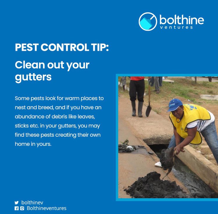 Bolthineventure's tweet photo. Want to get rid of pests? Then clean out your gutters! ππ
π 08034410340 or send us a DM this weekend for affordable fumigation services and enjoy a 35% discount!β¨
#bolthineVentures #FumigationExpert #CleaningServices #postconstructioncleaning https://t.co/n0kxKtcR5S