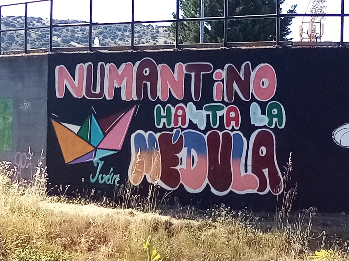 Hoy es el #DíamundialDonanteMédula y desde aquí con estos murales en homenaje a nuestro ángel invitaros a formar parte de esta legión solidaria que salva vidas. Por todos aquellos peques que están a la espera de este gesto que les puede cambiar la vida. #Numantinohastalamédula