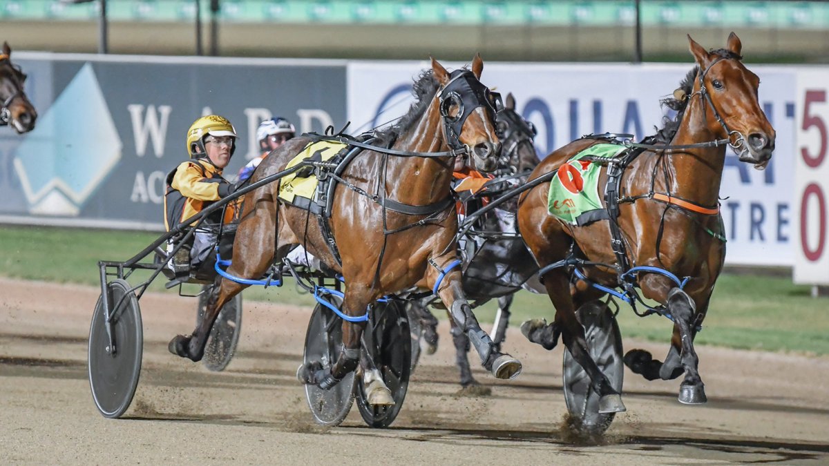 Club Menangle tweet media