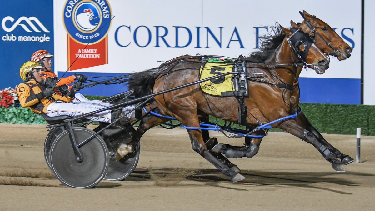 𝐇𝐲𝐥𝐚𝐧𝐝 𝐂𝐮𝐬𝐭𝐨𝐦 𝐅𝐚𝐜𝐞 𝐌𝐚𝐬𝐤𝐬 𝐋𝐚𝐝𝐲𝐬𝐡𝐢𝐩 𝐏𝐚𝐜𝐞 - hylandsportswear.com/product/face-m…

🐴 ROCKITA 
𝐓𝐑𝐀𝐈𝐍𝐄𝐑: Craig Cross (training treble)
𝐃𝐑𝐈𝐕𝐄𝐑: Jack Callaghan
📹 youtube.com/watch?v=9Z0rmd…