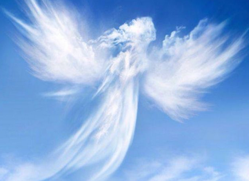BePeaceINLove tweet media