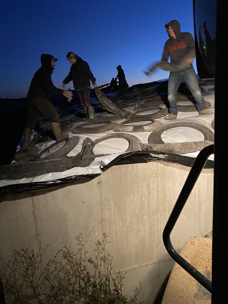 BoersenRoger's tweet image. Thanks to the awesome people working day and night on our farm to get great feed for our cows.